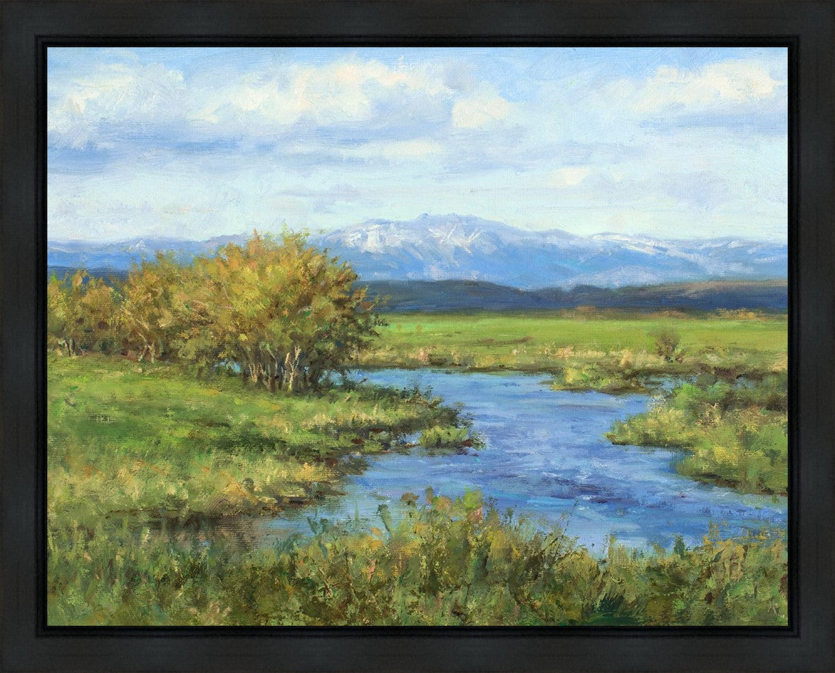 Spring Runoff on Camas Creek