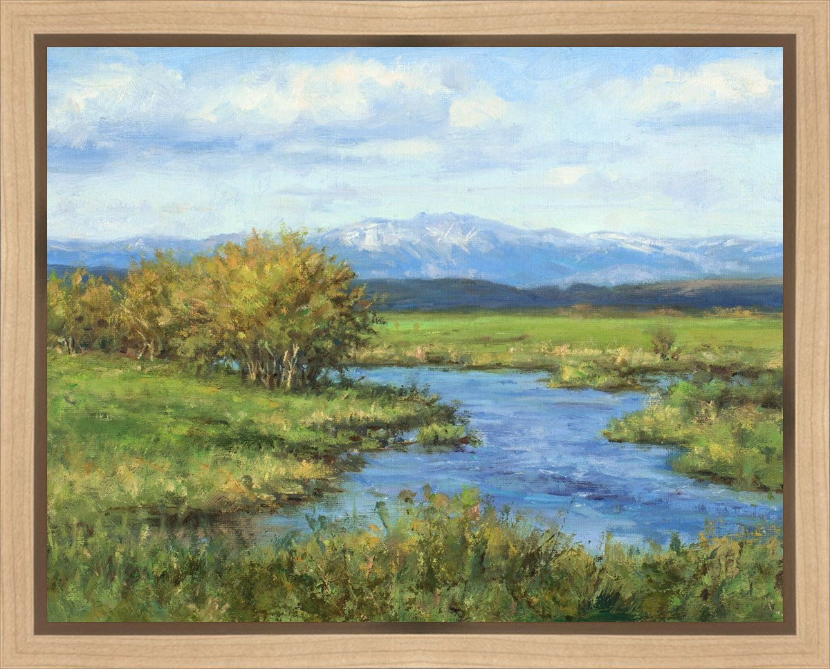 Spring Runoff on Camas Creek