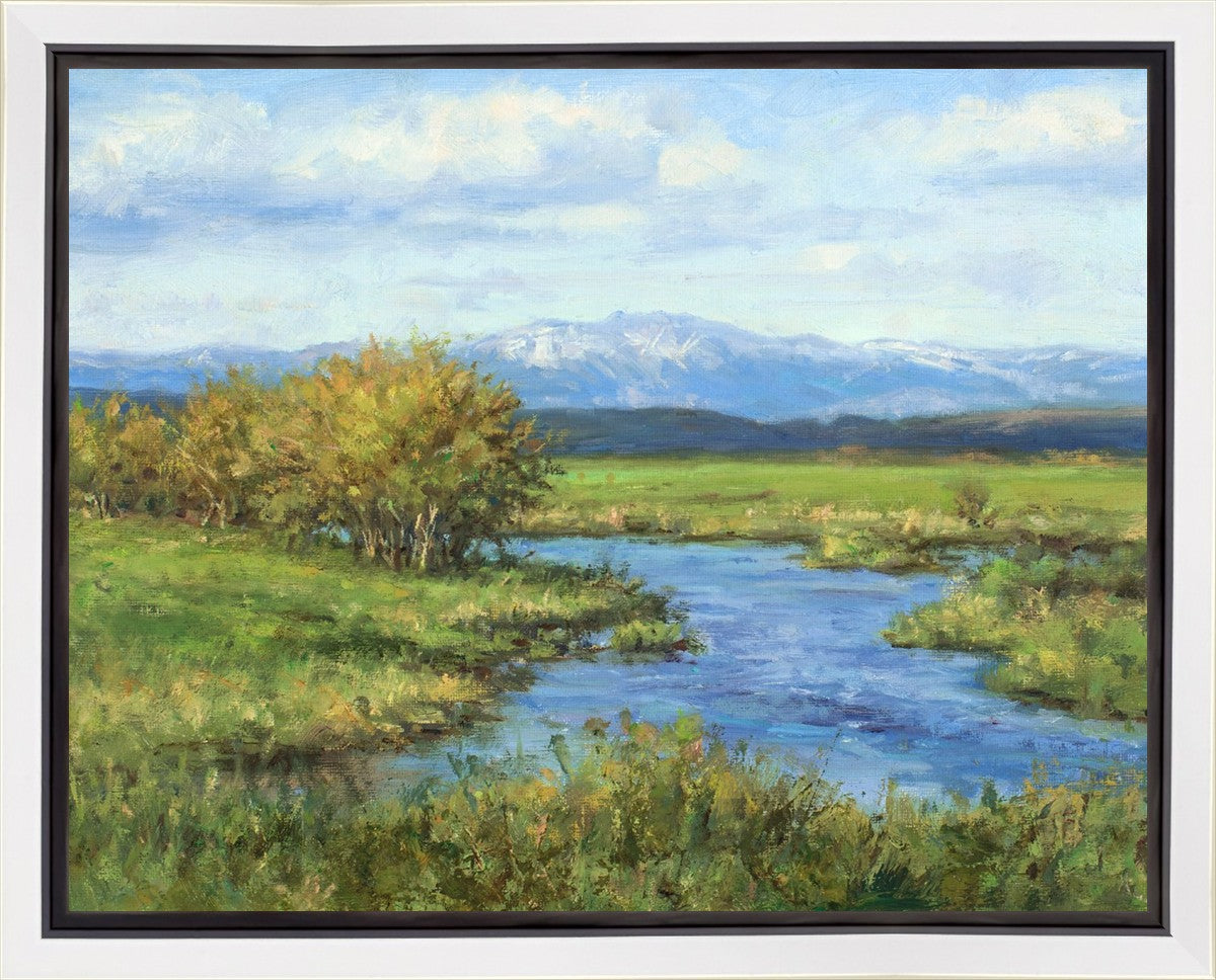 Spring Runoff on Camas Creek