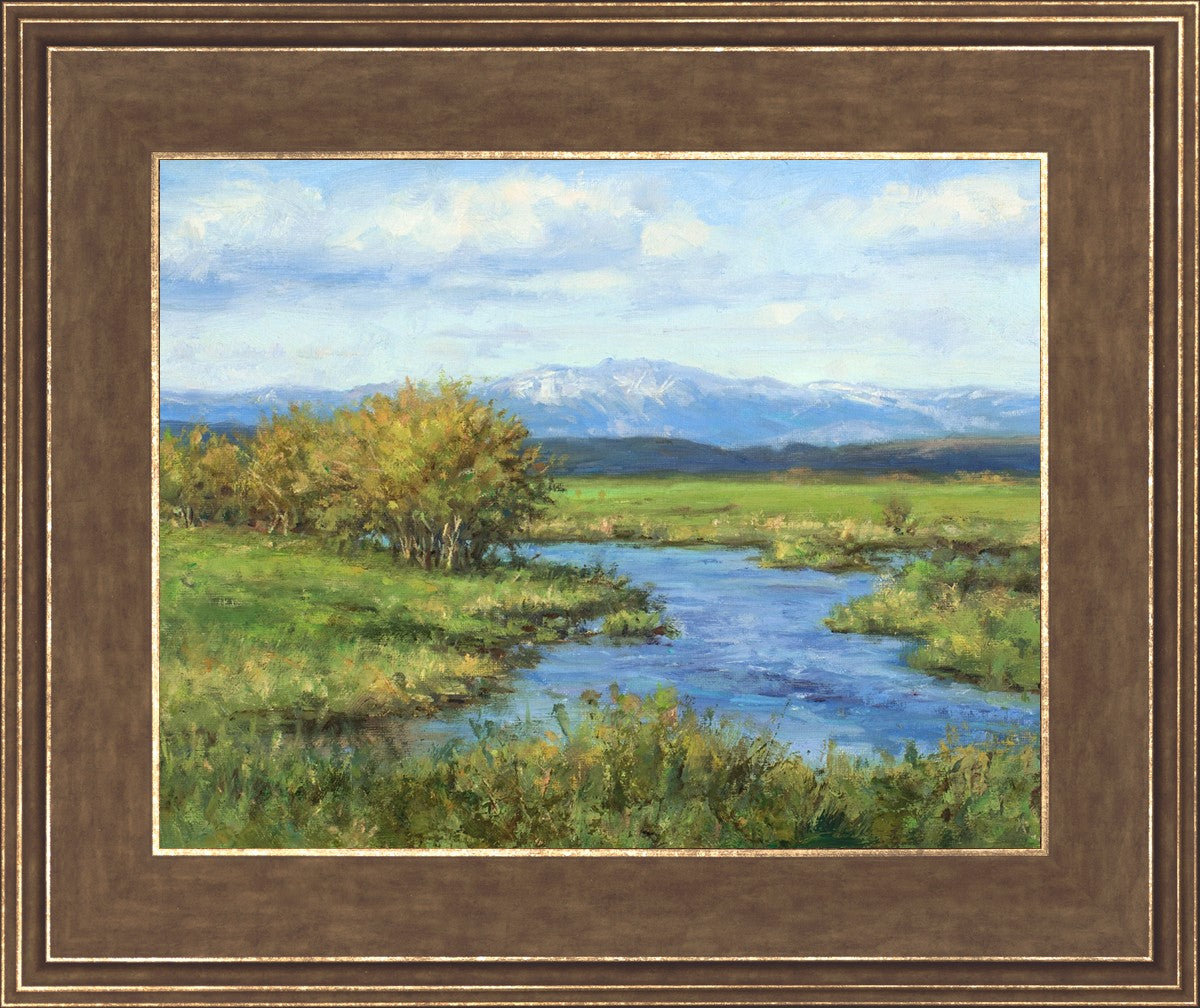 Spring Runoff on Camas Creek