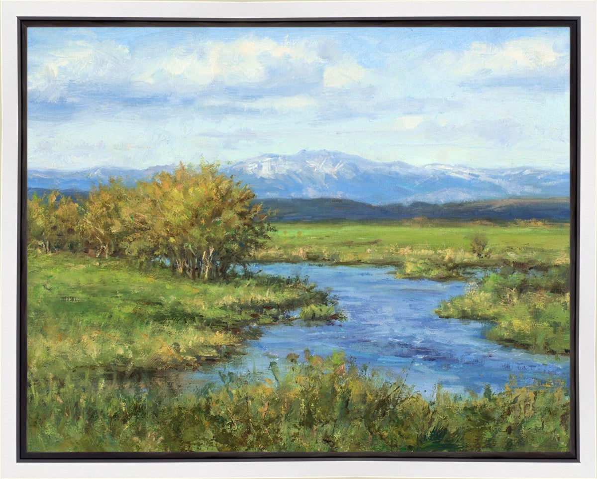 Spring Runoff on Camas Creek