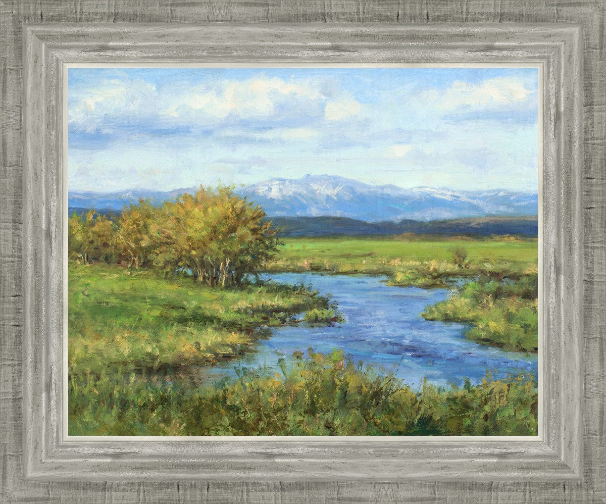 Spring Runoff on Camas Creek