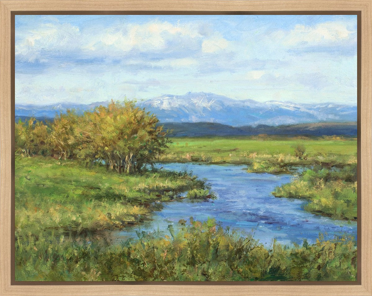 Spring Runoff on Camas Creek