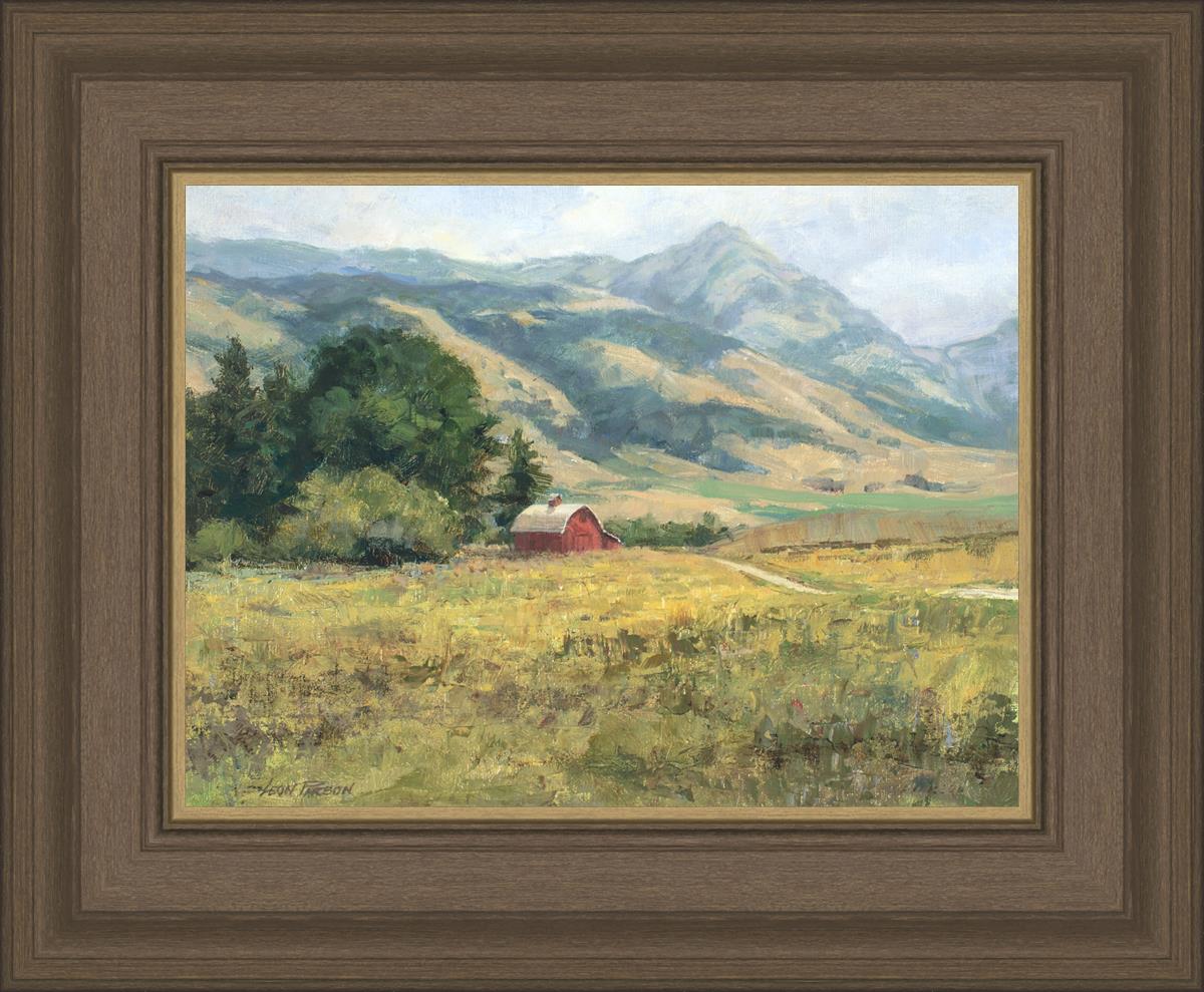 Red Barn in The Wilderness