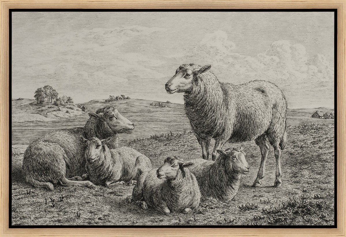 The Lamb of God Gallery Wrap