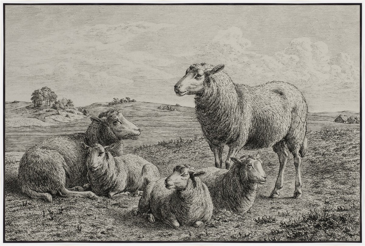 The Lamb of God