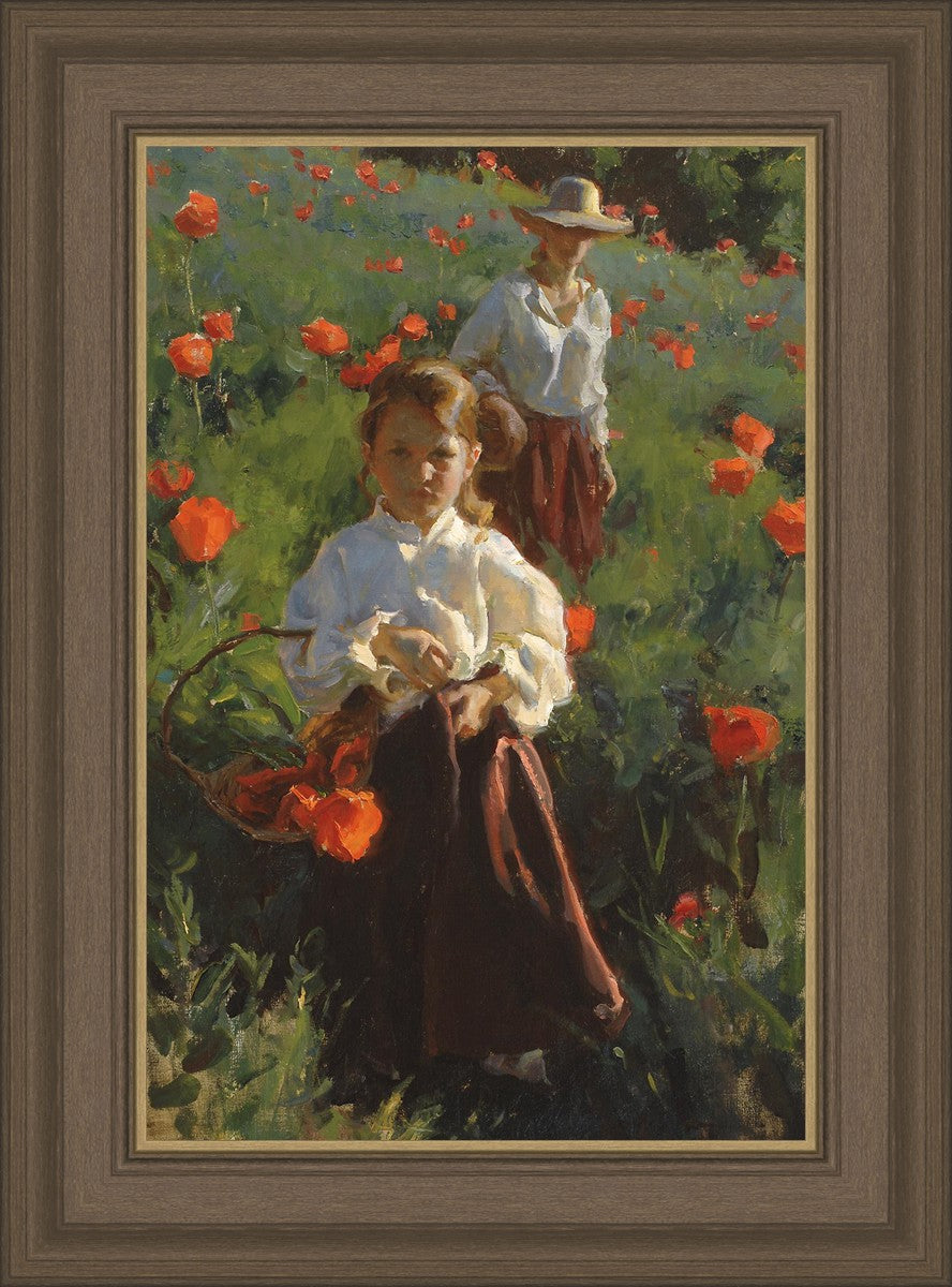 Poppies