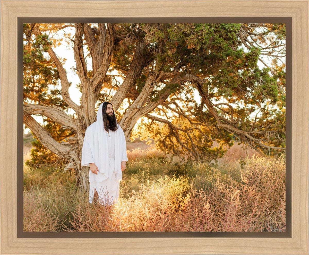 Our Tree of Life Gallery Wrap