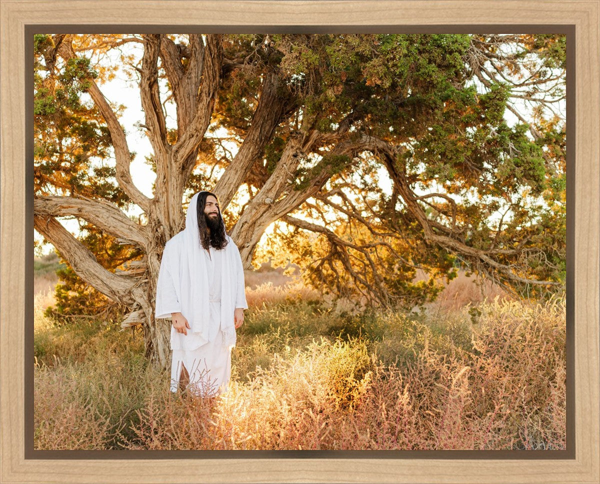 Our Tree of Life Gallery Wrap