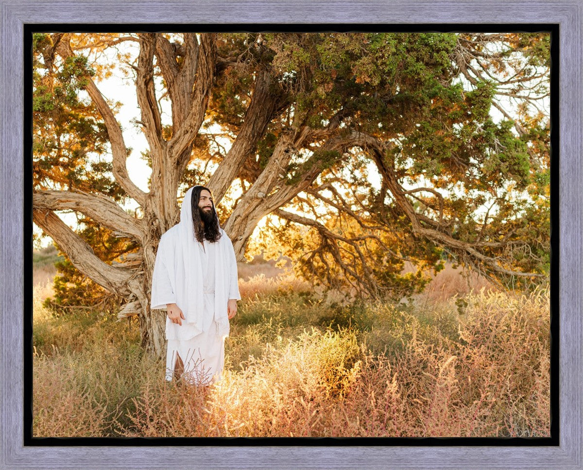 Our Tree of Life Gallery Wrap