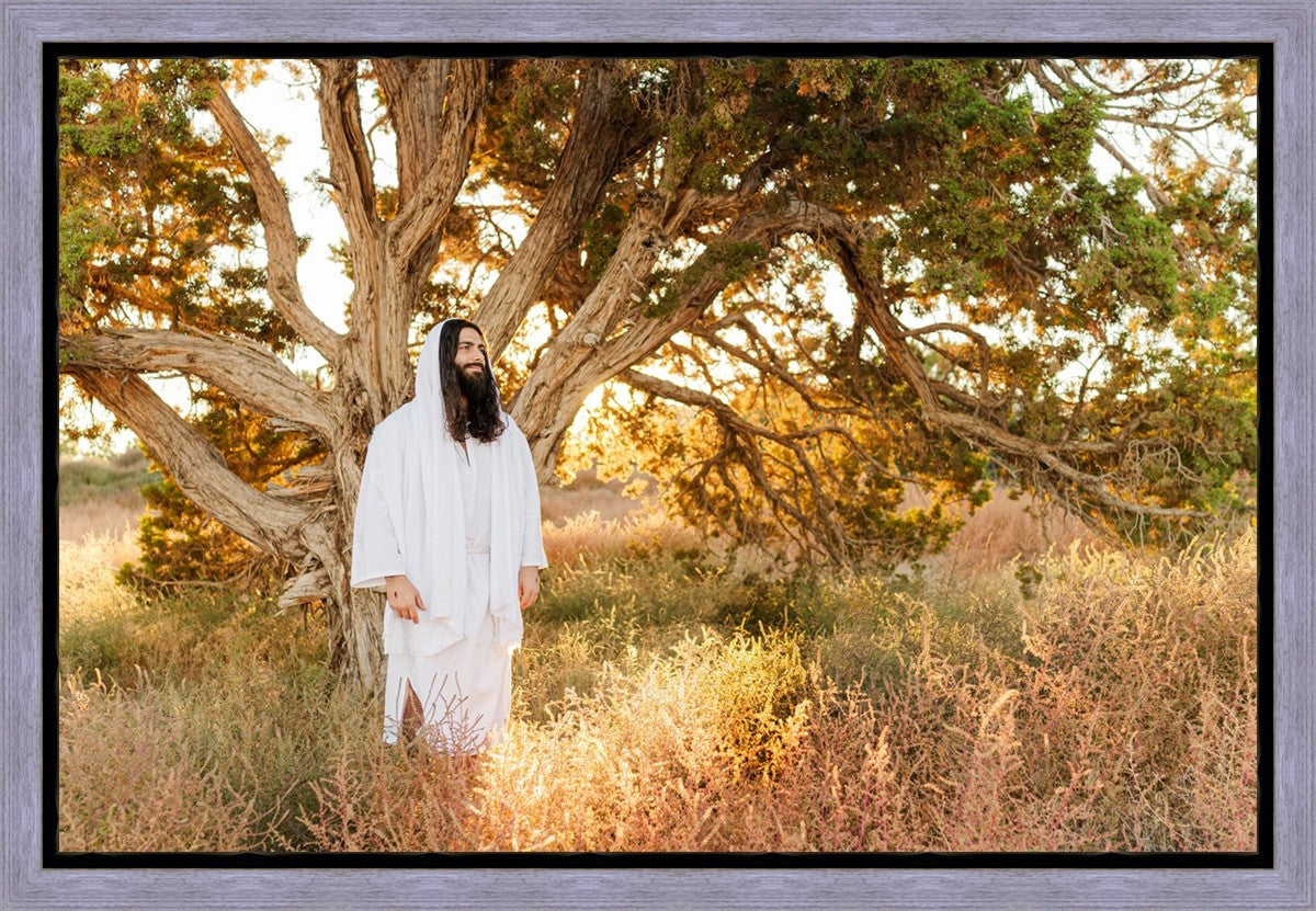 Our Tree of Life Gallery Wrap