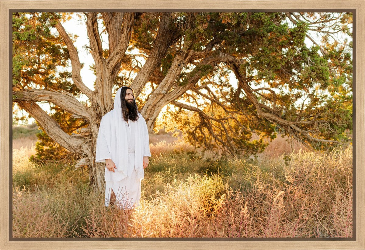 Our Tree of Life Gallery Wrap