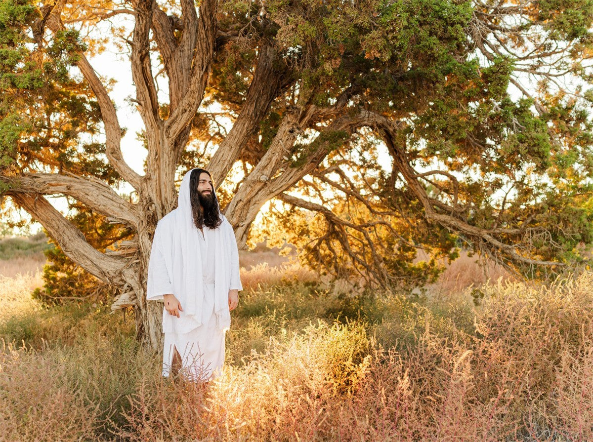 Our Tree of Life Gallery Wrap