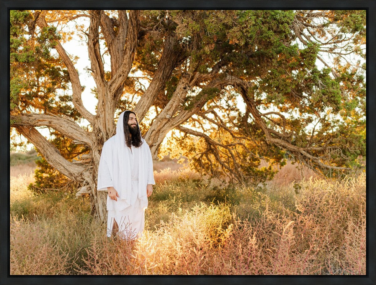 Our Tree of Life Gallery Wrap