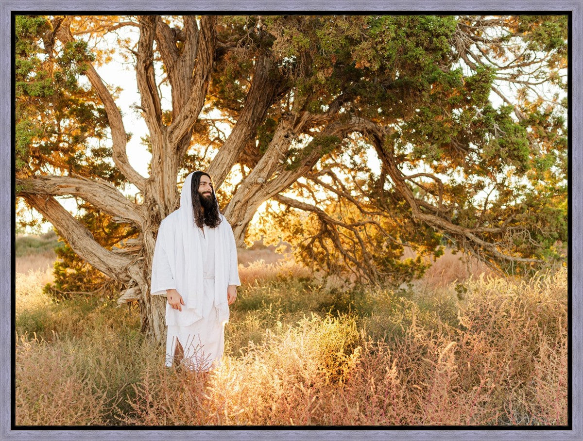 Our Tree of Life Gallery Wrap