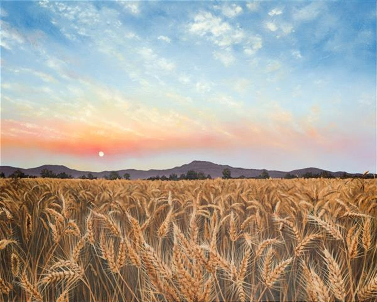 Golden Hour Gallery Wrap