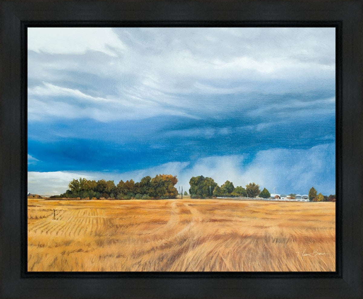Stormy Skies Gallery Wrap