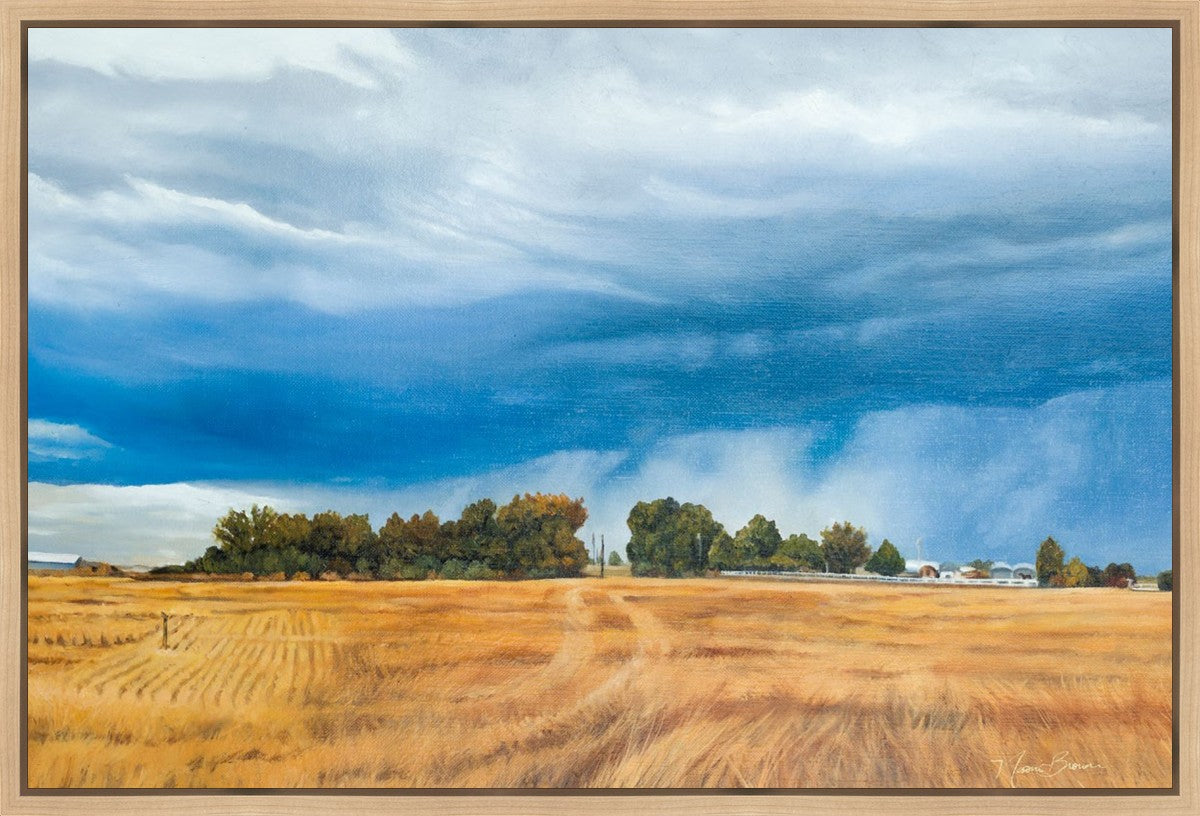 Stormy Skies Gallery Wrap