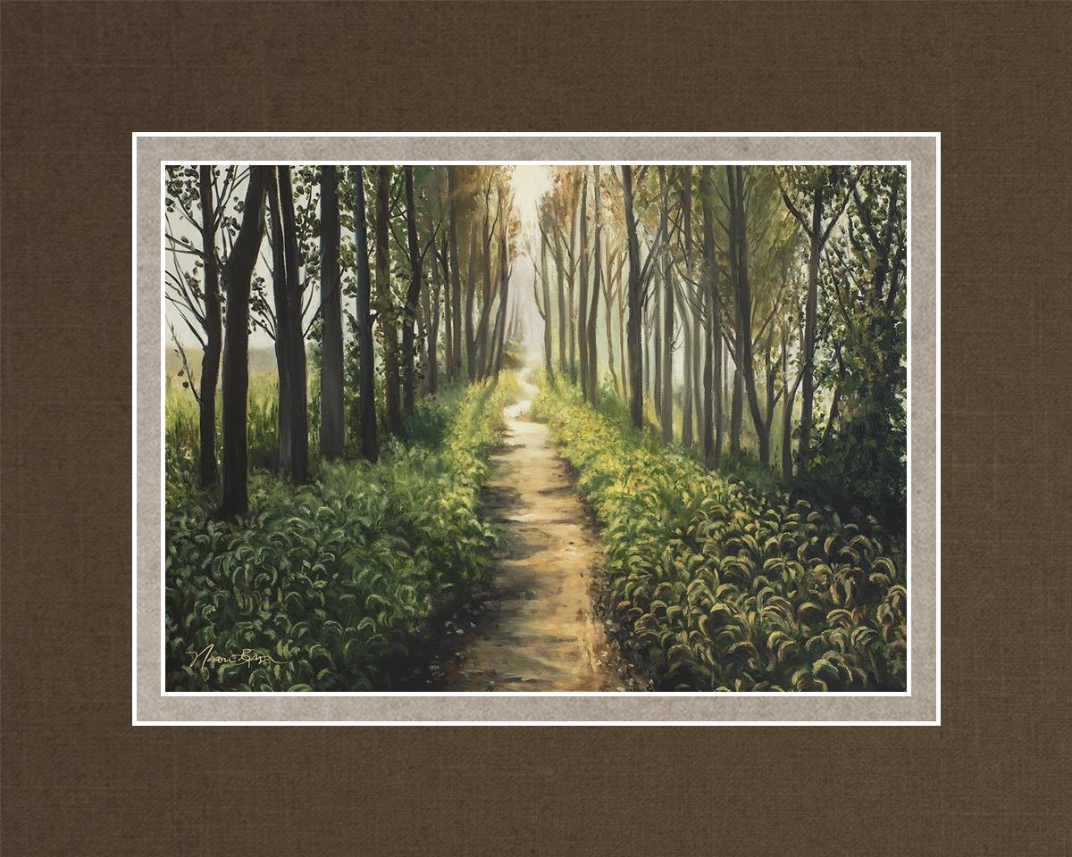 Enjoy The Beauty On Your Broken Path, Forest Walkway