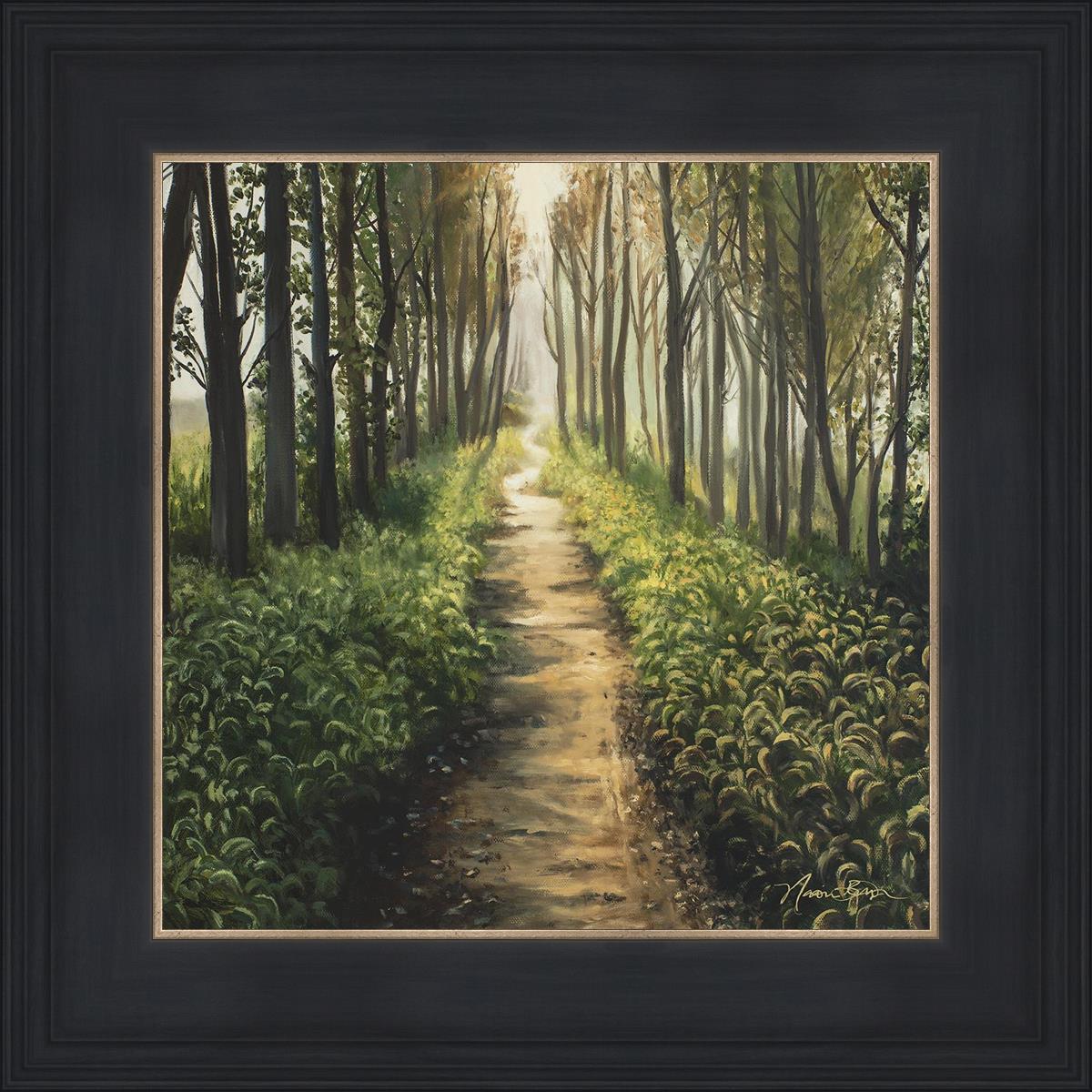 Enjoy The Beauty On Your Broken Path, Forest Walkway