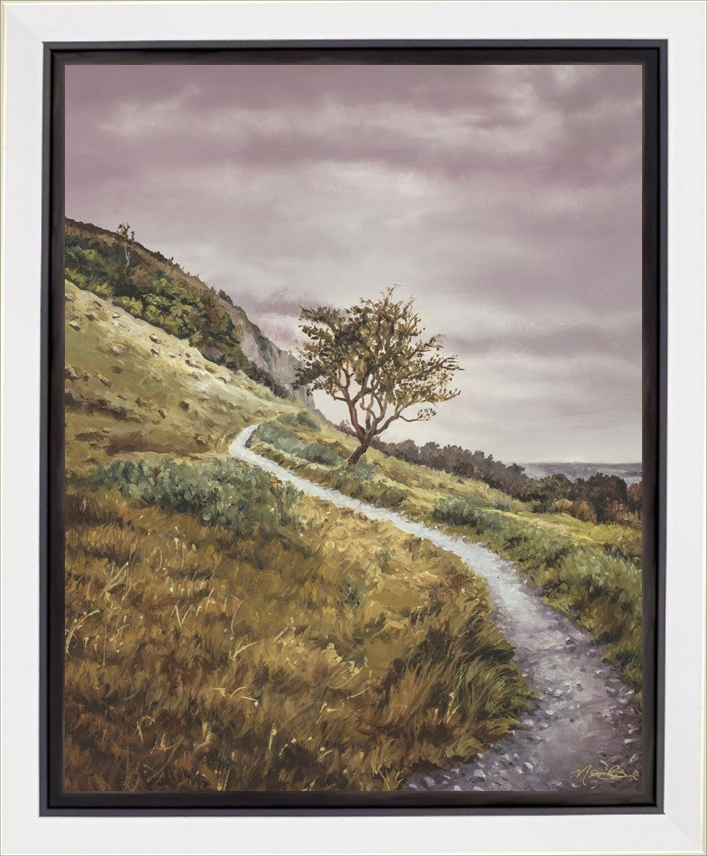 Enjoy the Beauty on your Broken Path Mountain Top