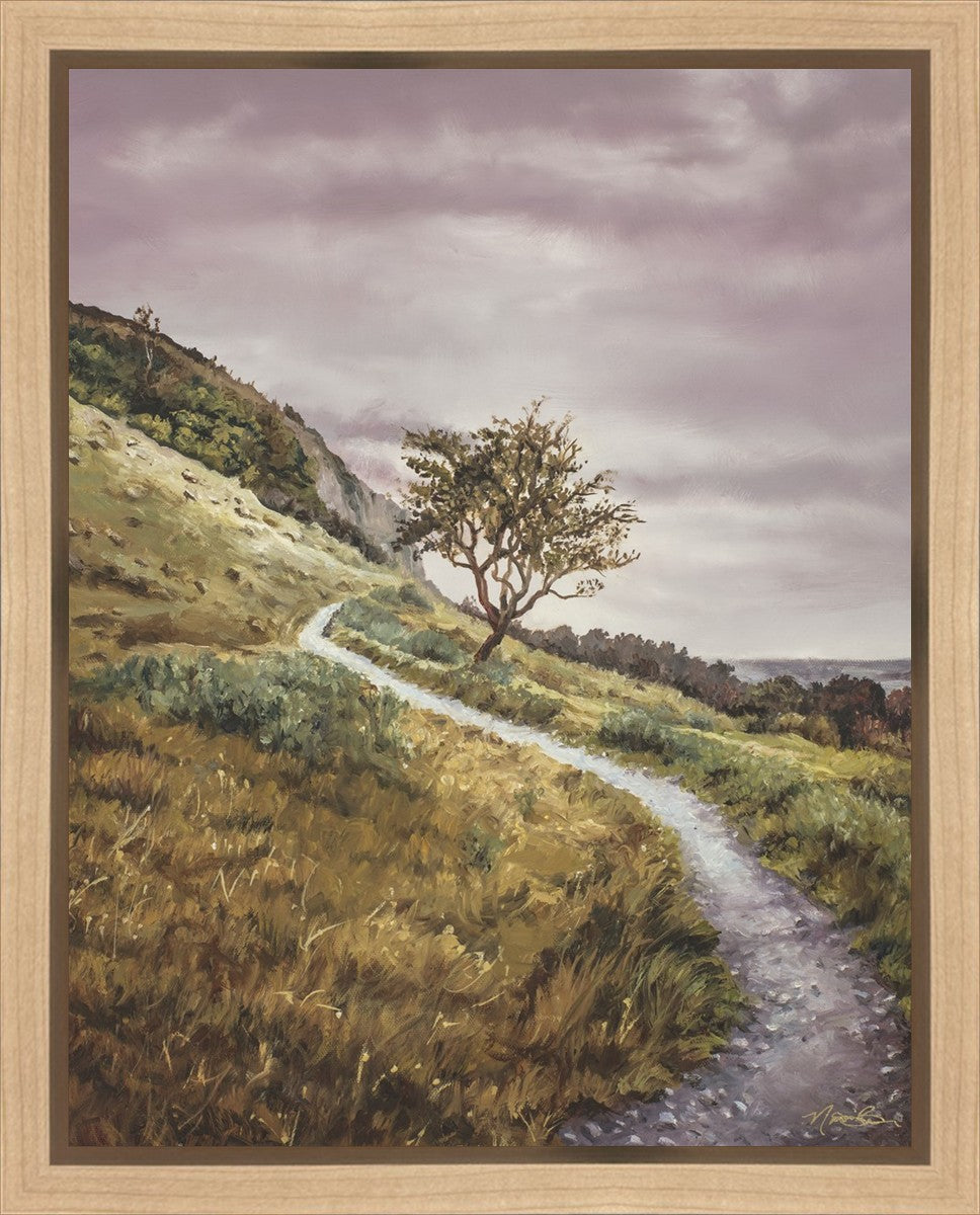 Enjoy the Beauty on your Broken Path Mountain Top