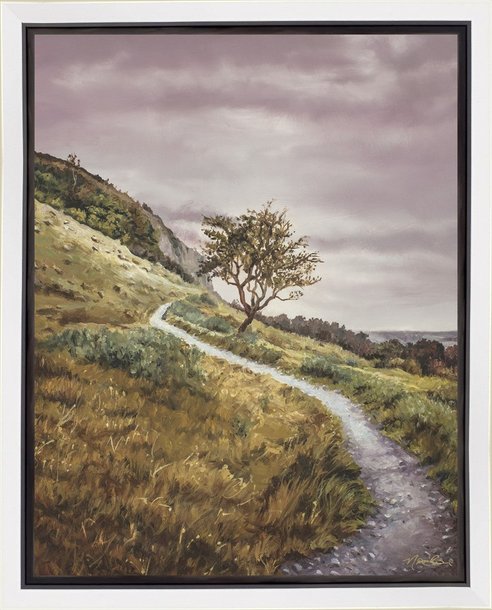 Enjoy the Beauty on your Broken Path Mountain Top