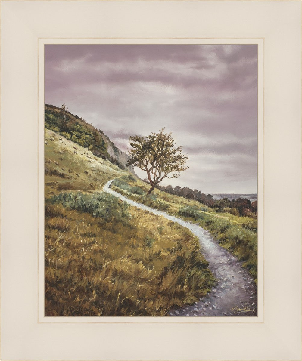 Enjoy the Beauty on your Broken Path Mountain Top