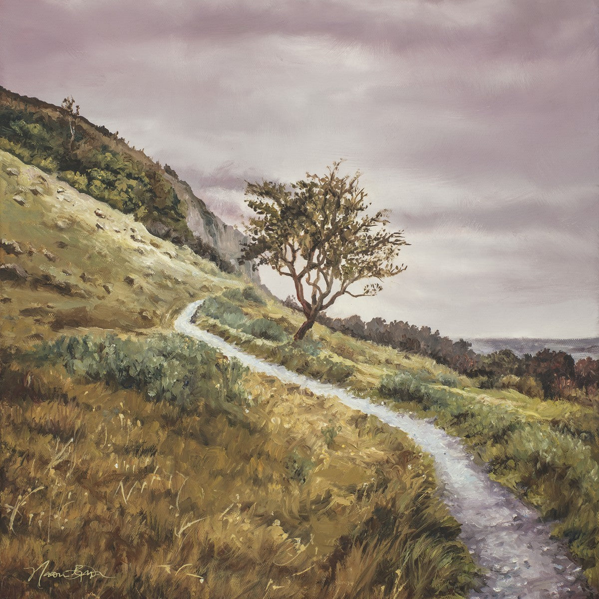 Enjoy the Beauty on your Broken Path Mountain Top