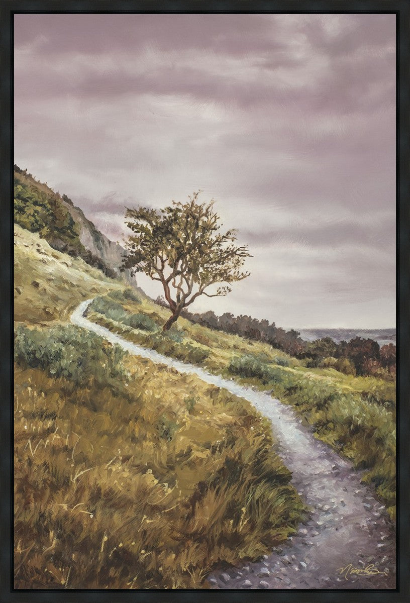 Enjoy the Beauty on your Broken Path Mountain Top