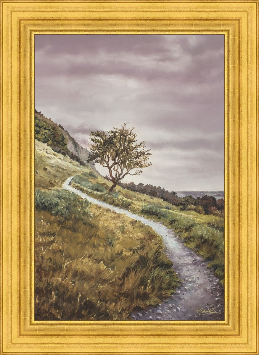 Enjoy the Beauty on your Broken Path Mountain Top