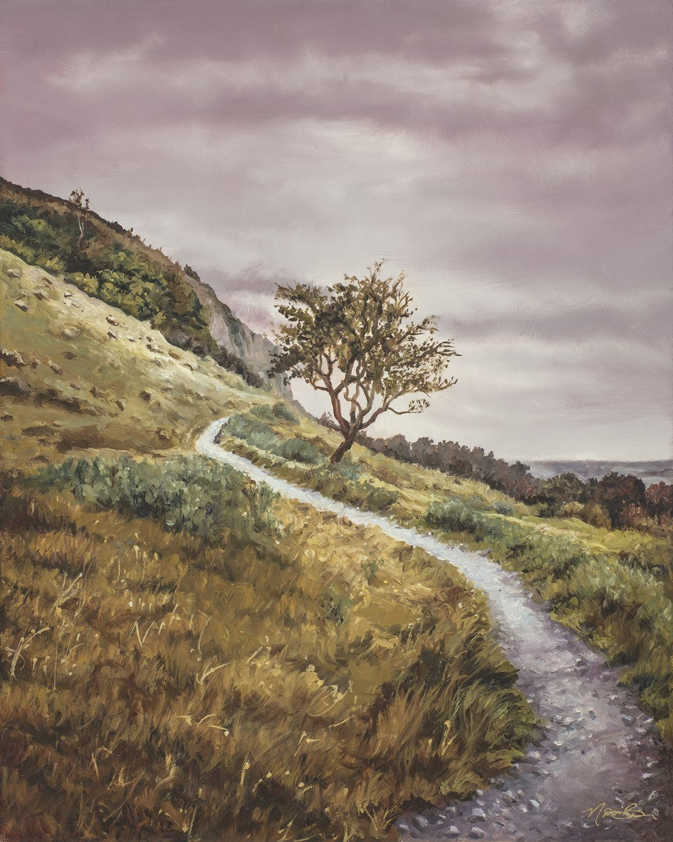 Enjoy the Beauty on your Broken Path Mountain Top