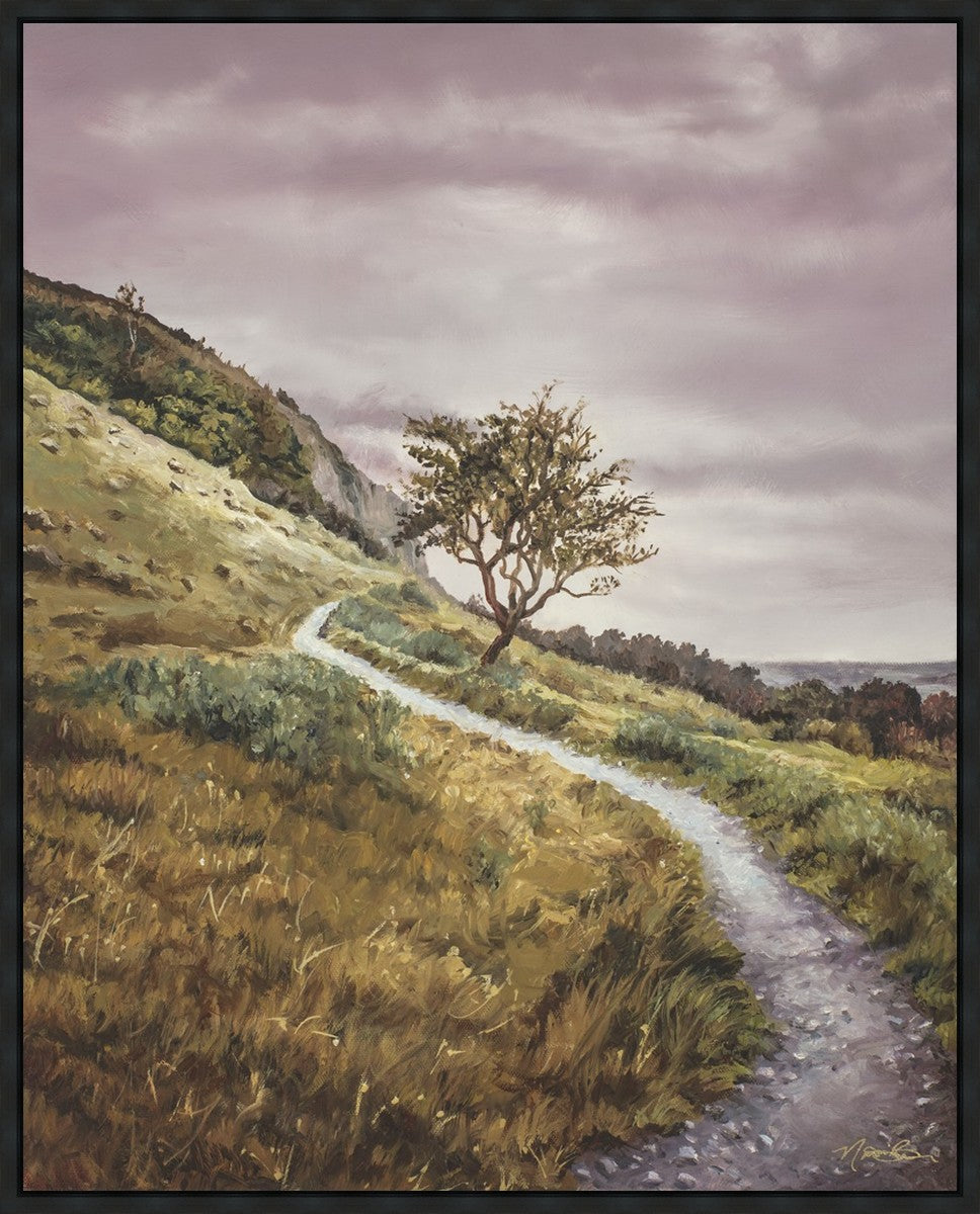 Enjoy the Beauty on your Broken Path Mountain Top