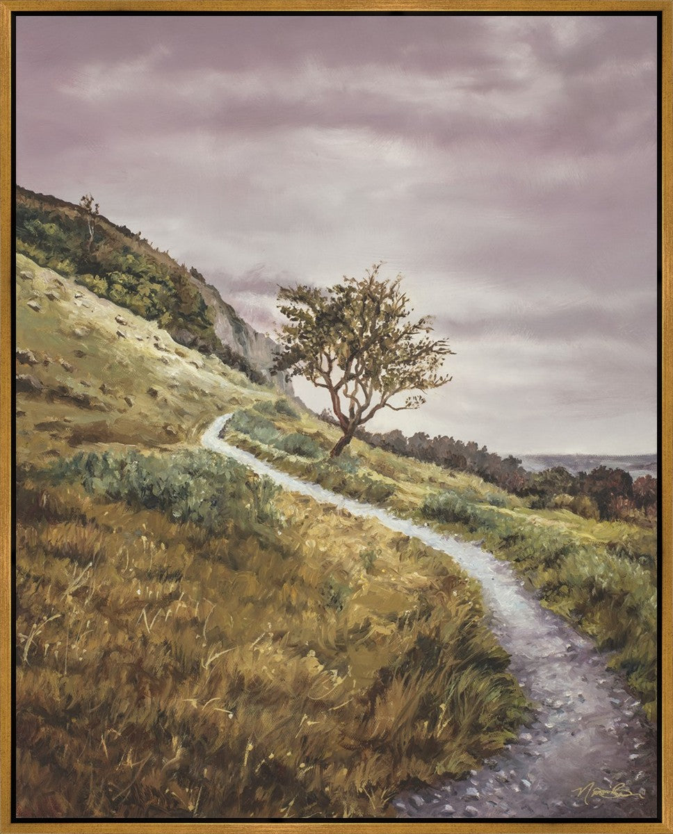 Enjoy the Beauty on your Broken Path Mountain Top