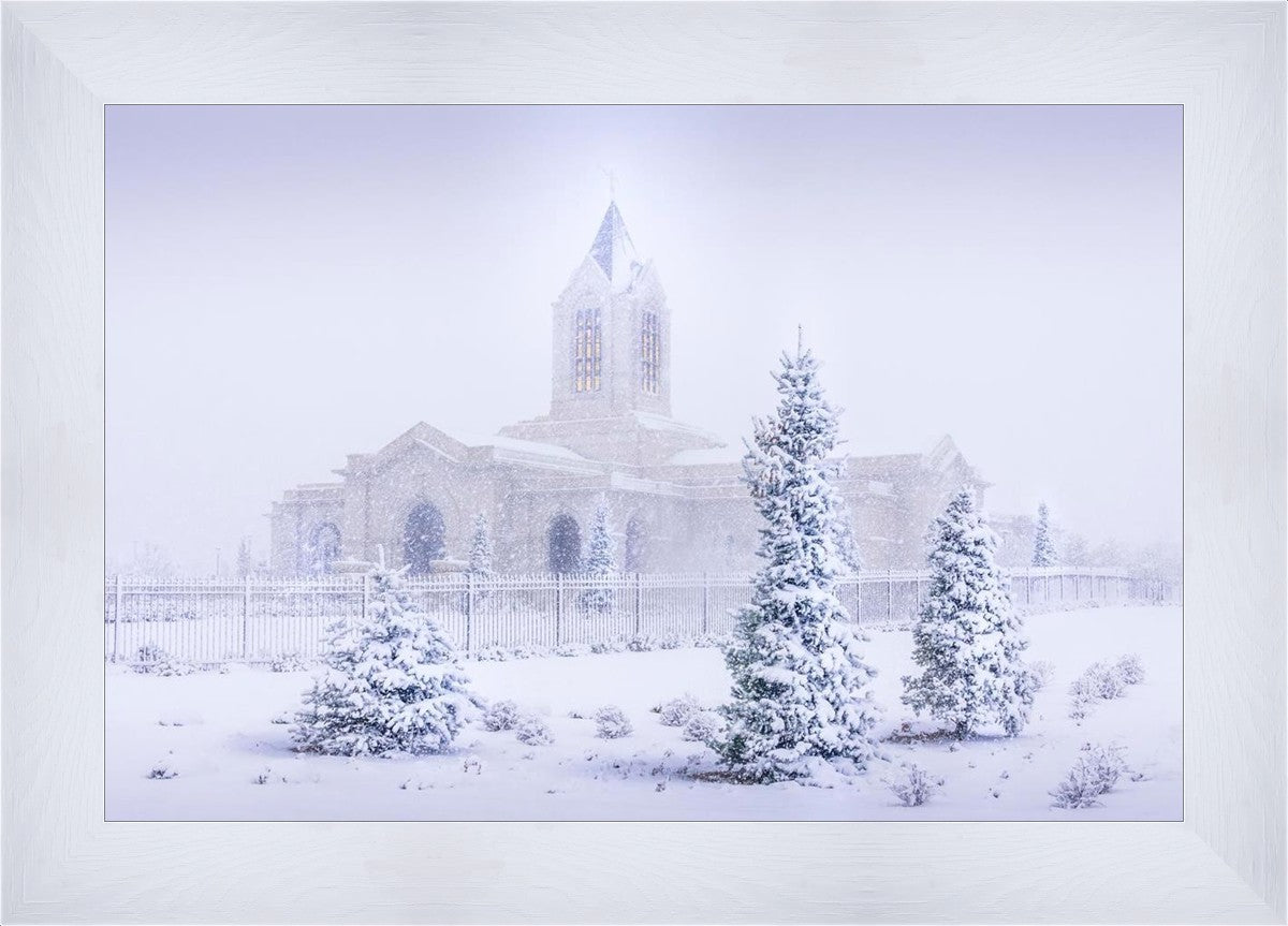 Fort Collins Shelter from the Storm