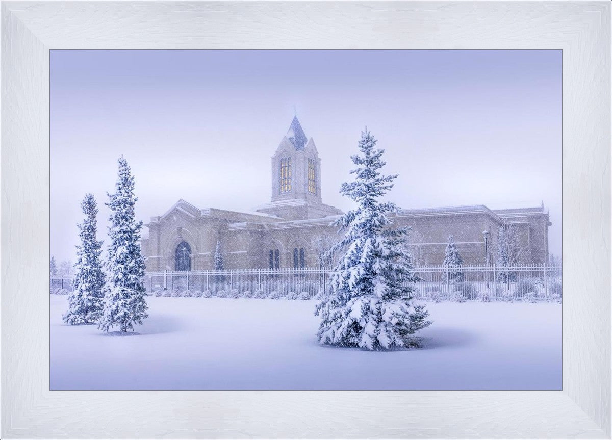 Fort Collins Storm Shelter