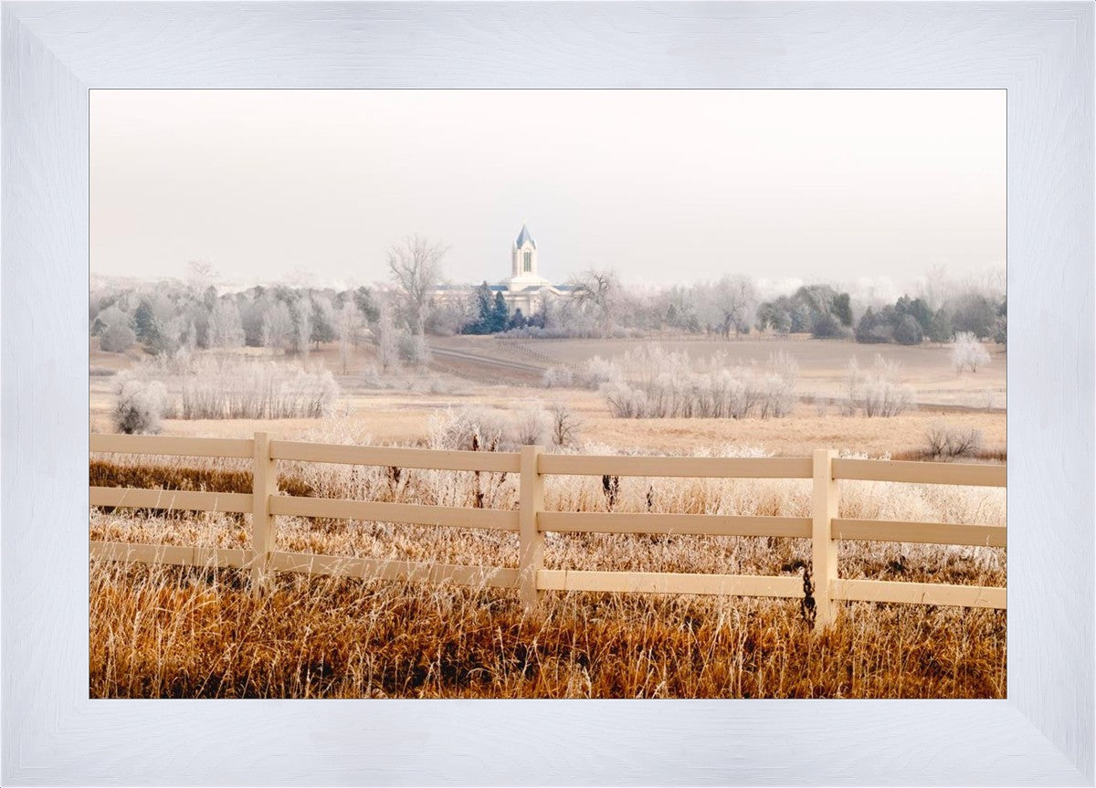 Fort Collins All is Safely Gathered In