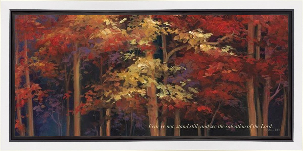 Fear Ye Not Gallery Wrap