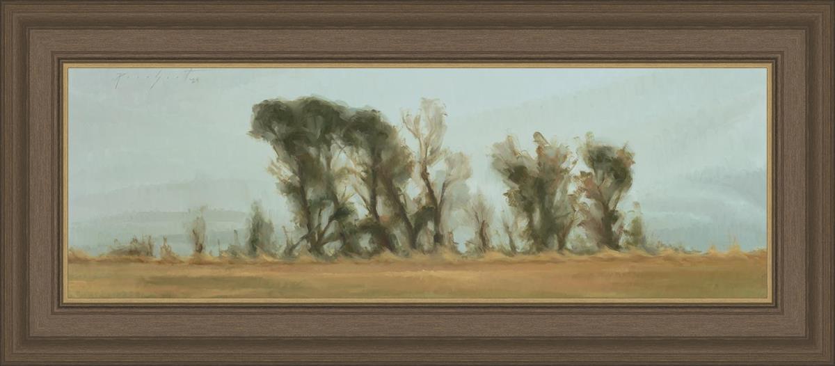 Trees