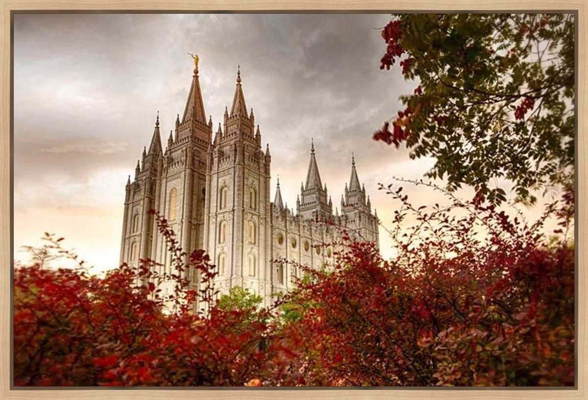 Salt Lake Autumn Trees Gallery Wrap