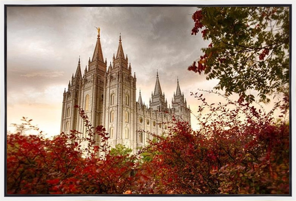 Salt Lake Autumn Trees Gallery Wrap