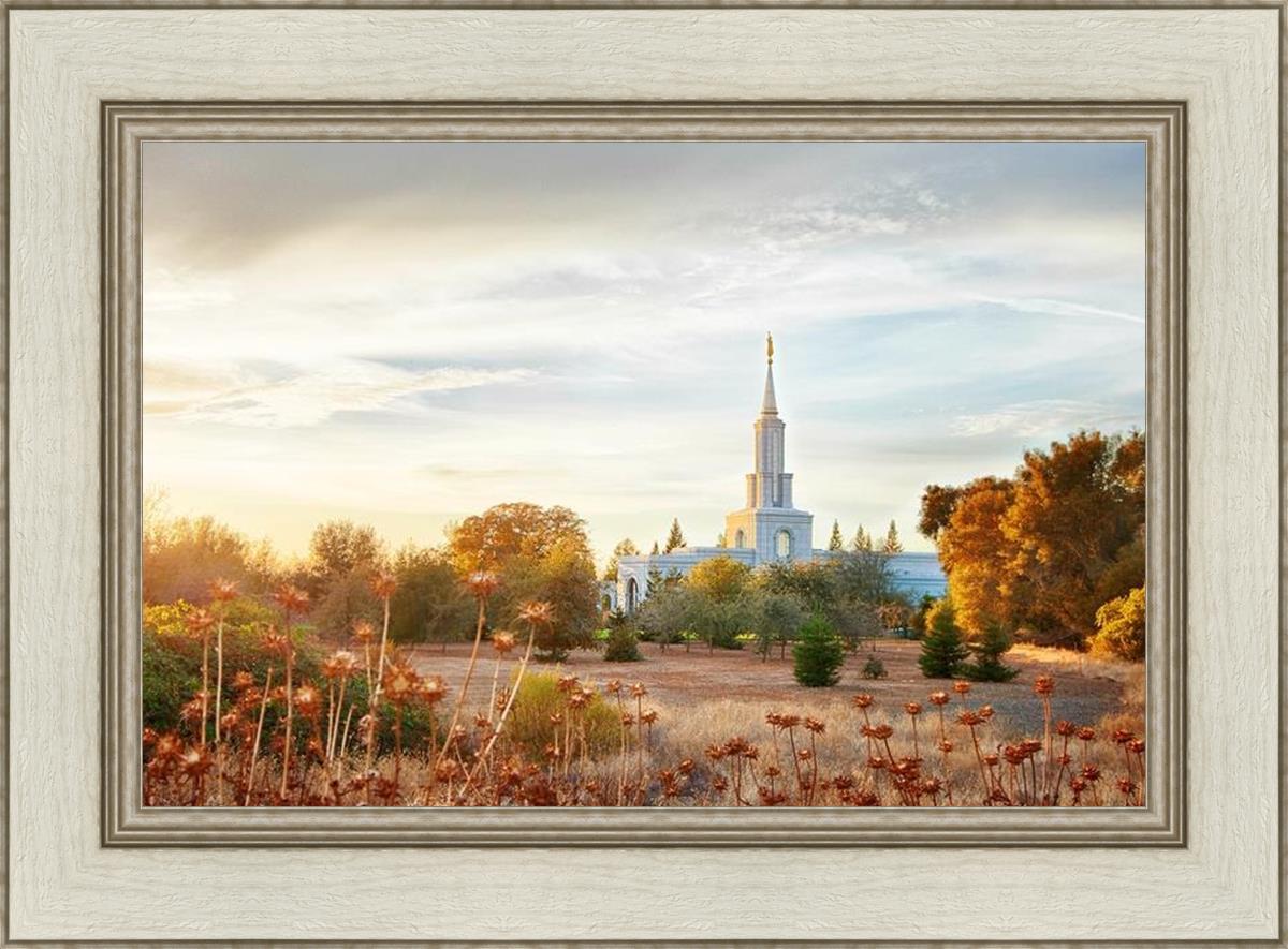 Sacramento 07