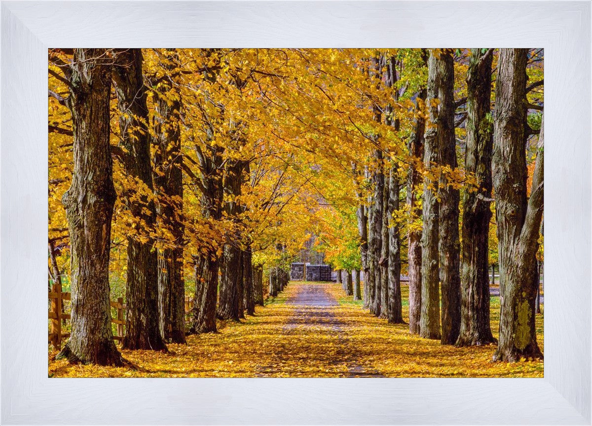 Plate 1 - Dairy Hill Horizontal