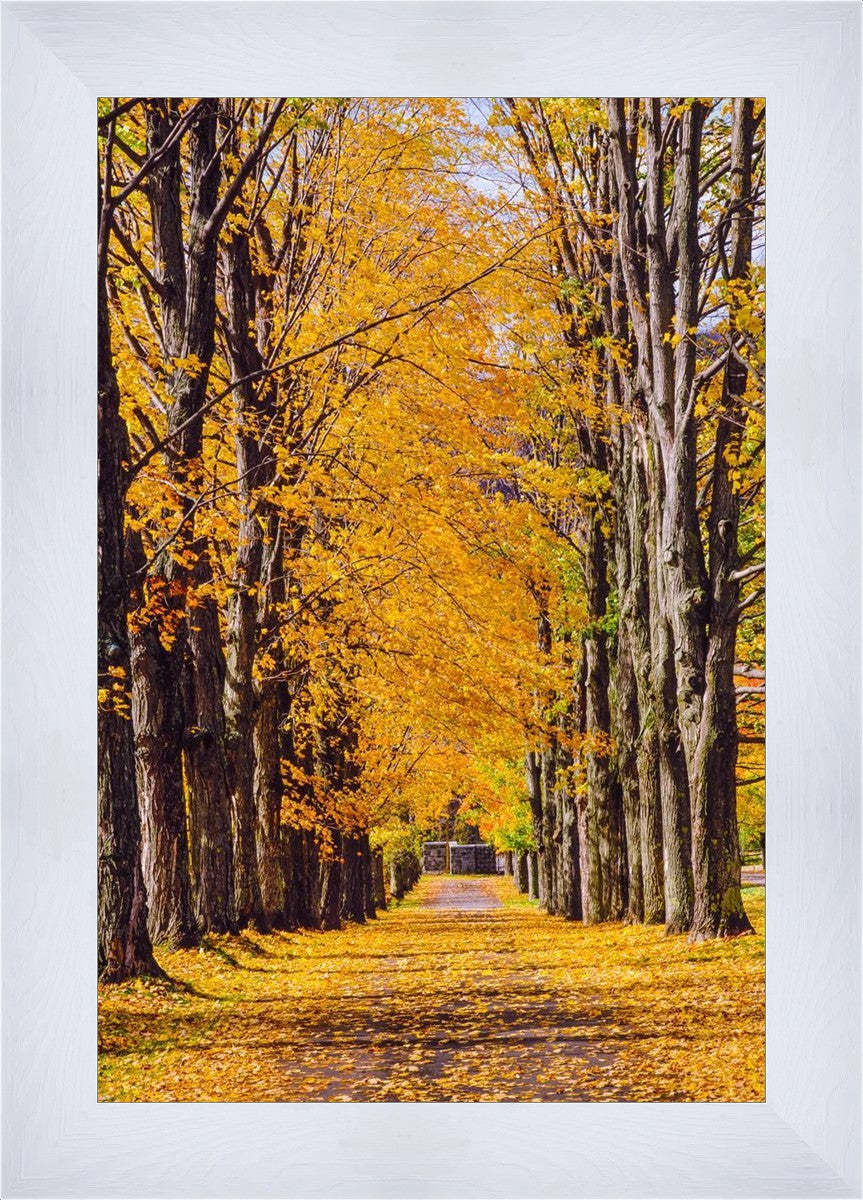 Plate 2 - Dairy Hill Vertical