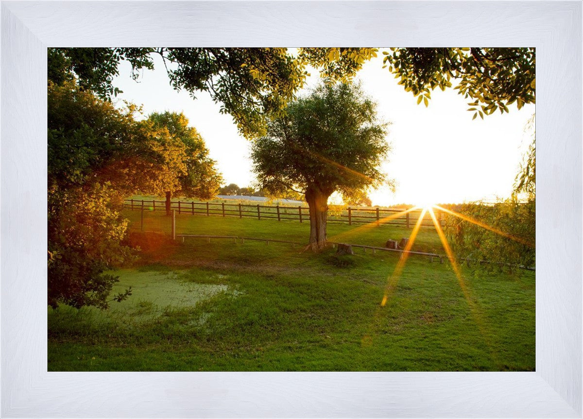 Plate 2 - Preparing a Pond