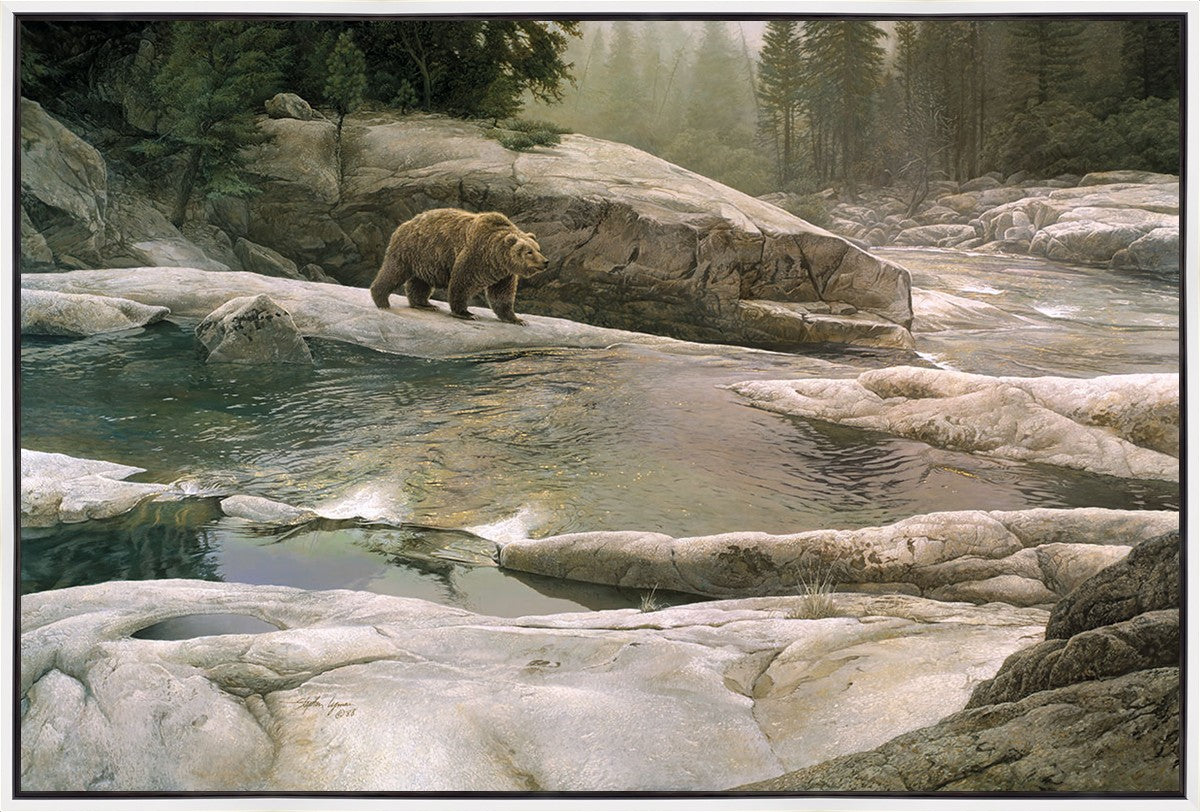 Uzumati - Great Bear of Yosemite