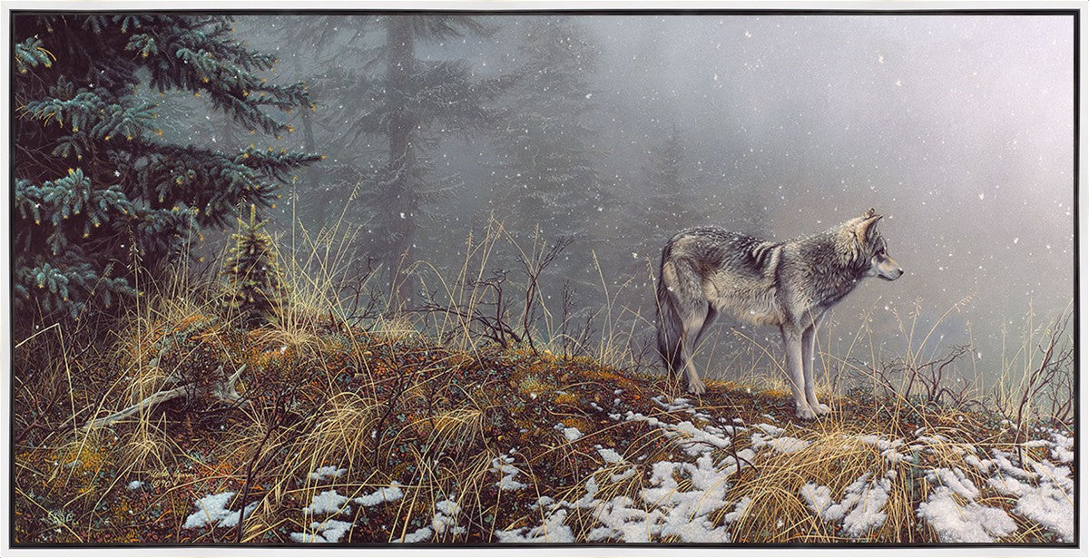 Silent Snows