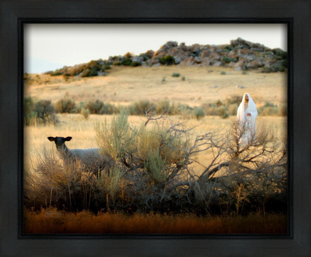 In Search of the One Gallery Wrap