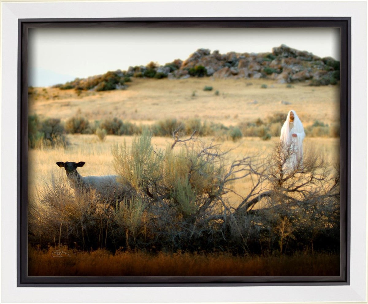 In Search of the One Gallery Wrap