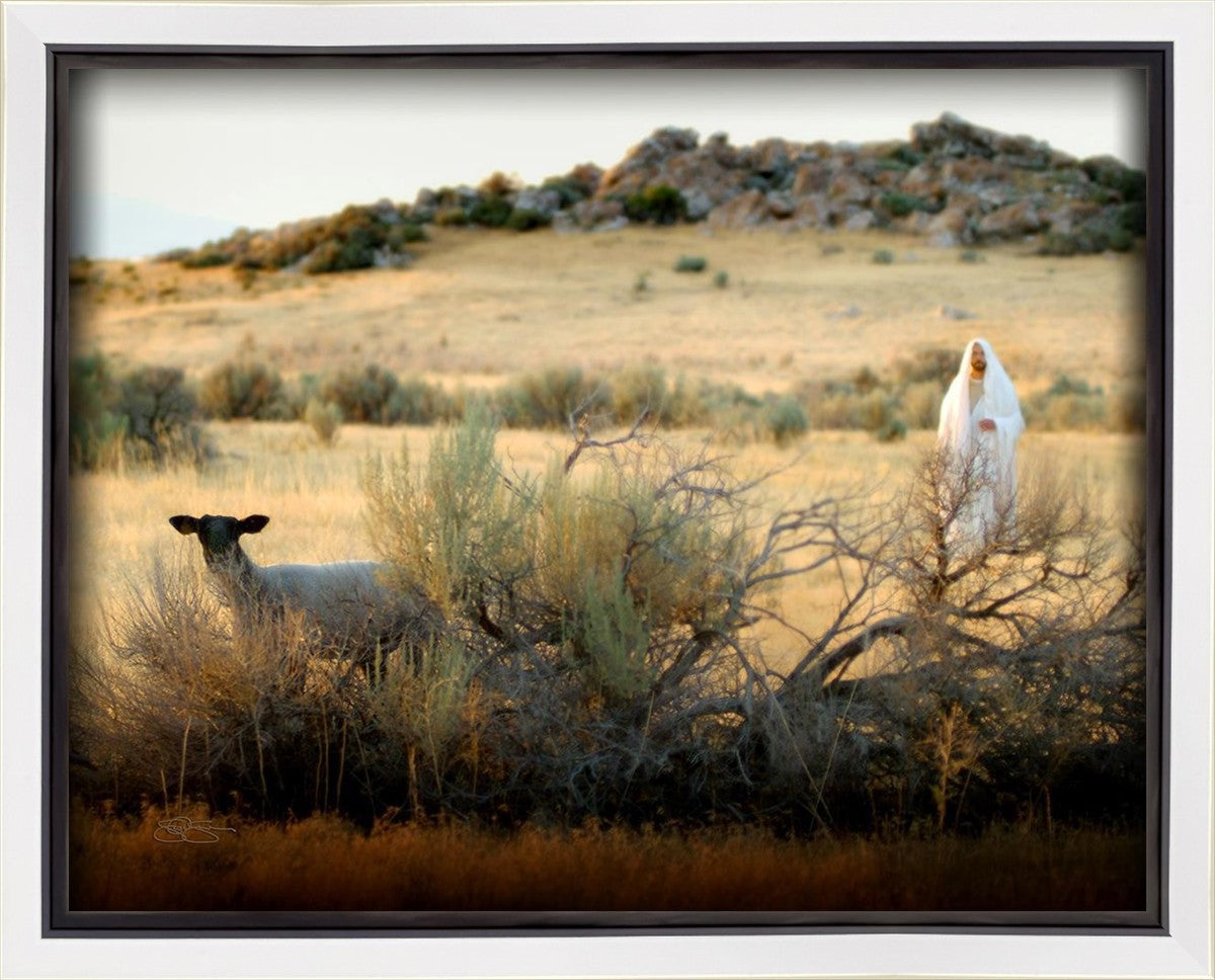 In Search of the One Gallery Wrap